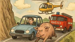 Vtip: Predstav si, že šoféruješ auto…